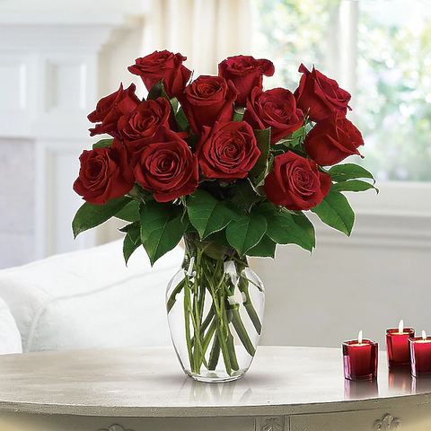 DOZEN RED ROSES