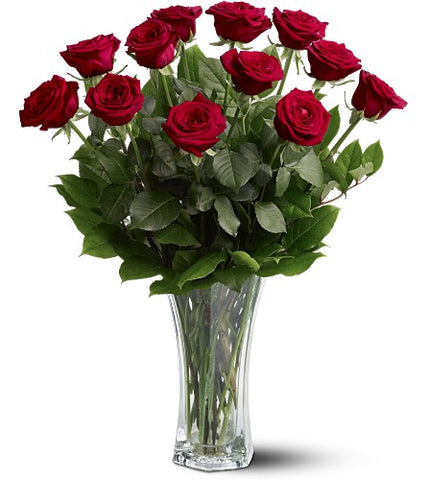 Premium Ecuadorian Red Roses