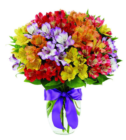 Alstromeria Rainbow Bouquet