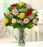 Color Rose Elegance
