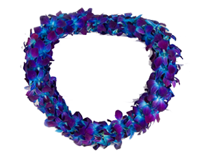 FREE LOCAL DELIVERY Double Blue Tinted Orchid Lei