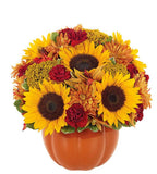 Pumpkin Full Of Thanks