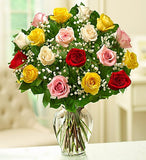 Color Rose Elegance