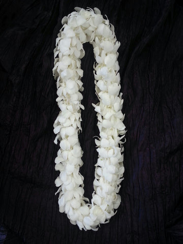FREE LOCAL DELIVERY  Double White Orchid Lei